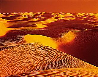 《真女神转生5》恶魔介绍：黑暗生物狼人