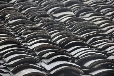 科隆：科幻冒险游戏《火星孤征》新预告片